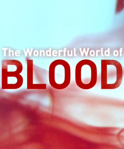Постер Удивительный мир крови